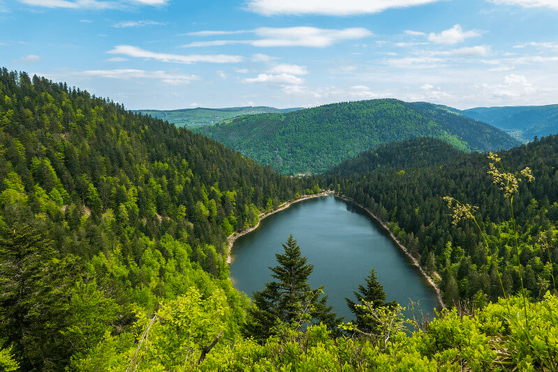 Wo findet man Pilze im Jurabogen?